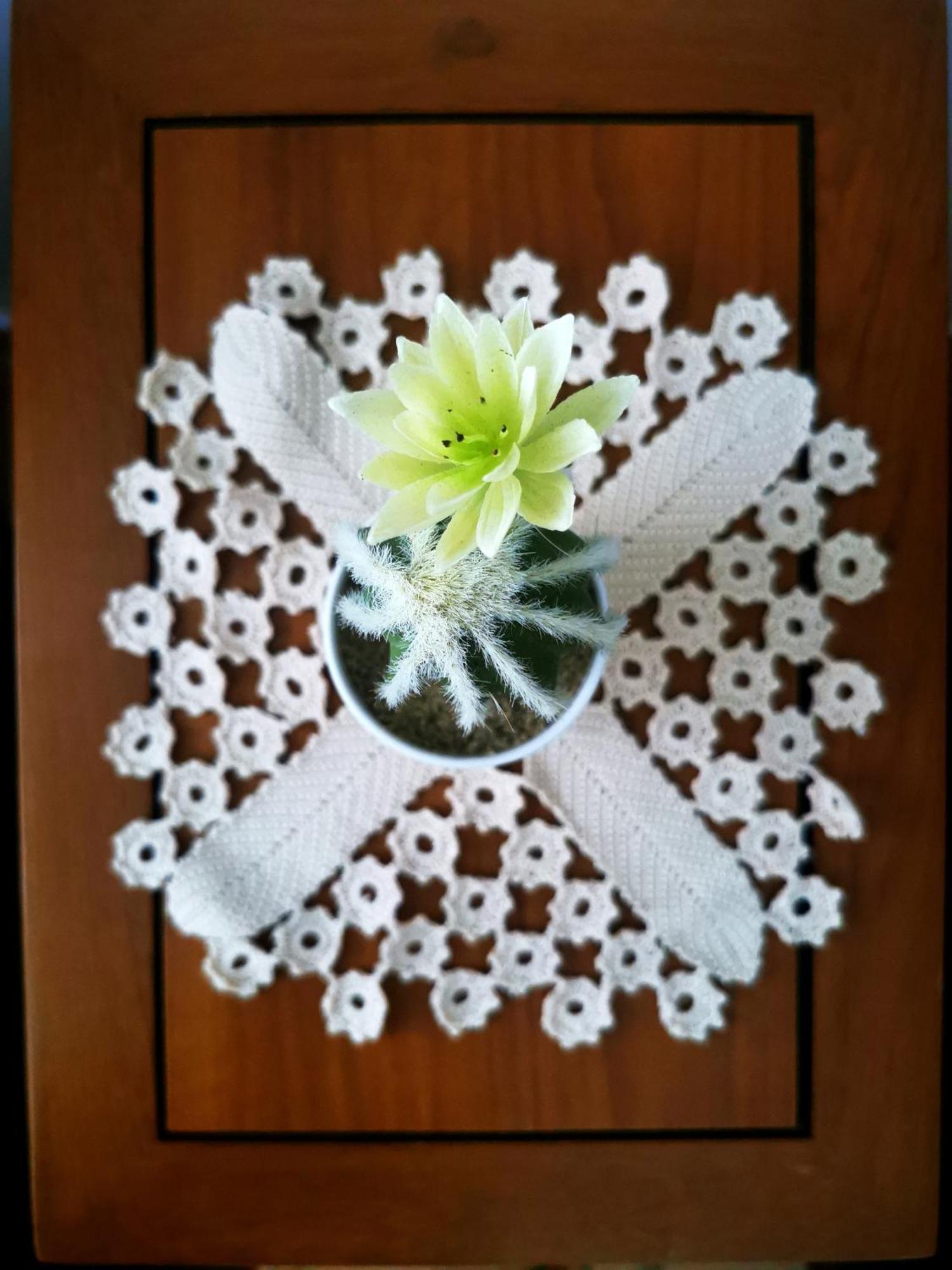 Charming Portuguese Style Apartment, For Rent "Vida A Portuguesa", "Fruta Or Polvo" Alojamento Local ポルティマン エクステリア 写真